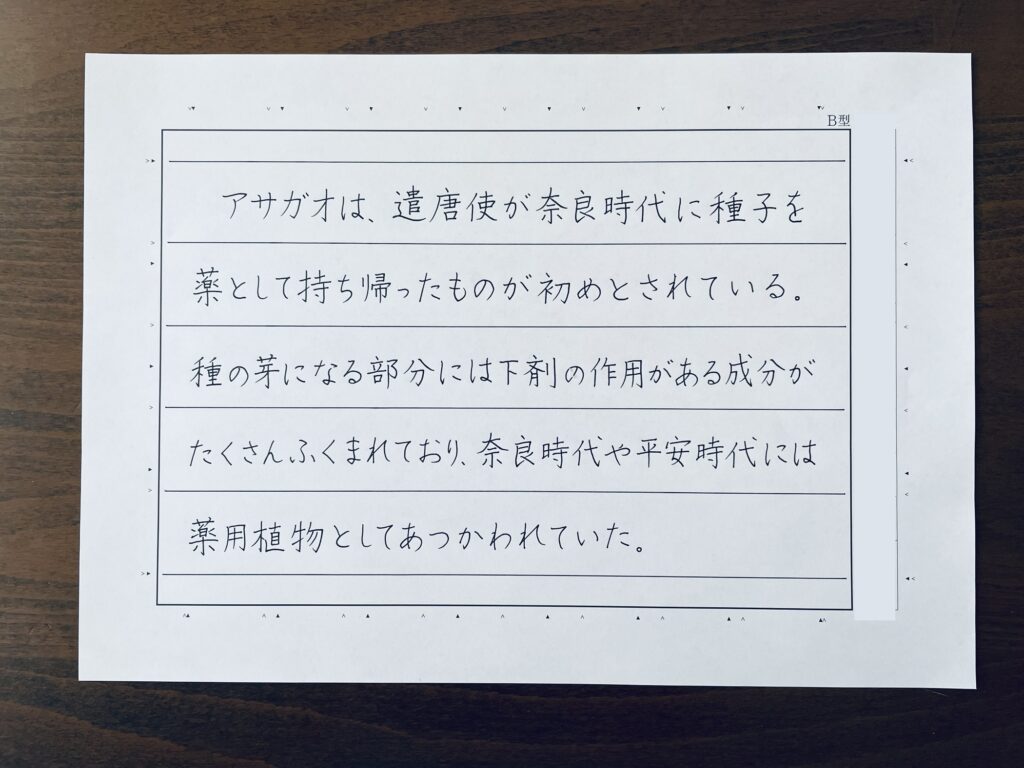 硬筆書写技能検定　日本書写技能検定協会　筆ペン　硬筆　桃花会　パイロットペン習字　書写検定1級　書道　かきかた　ペン字教室　通信講座