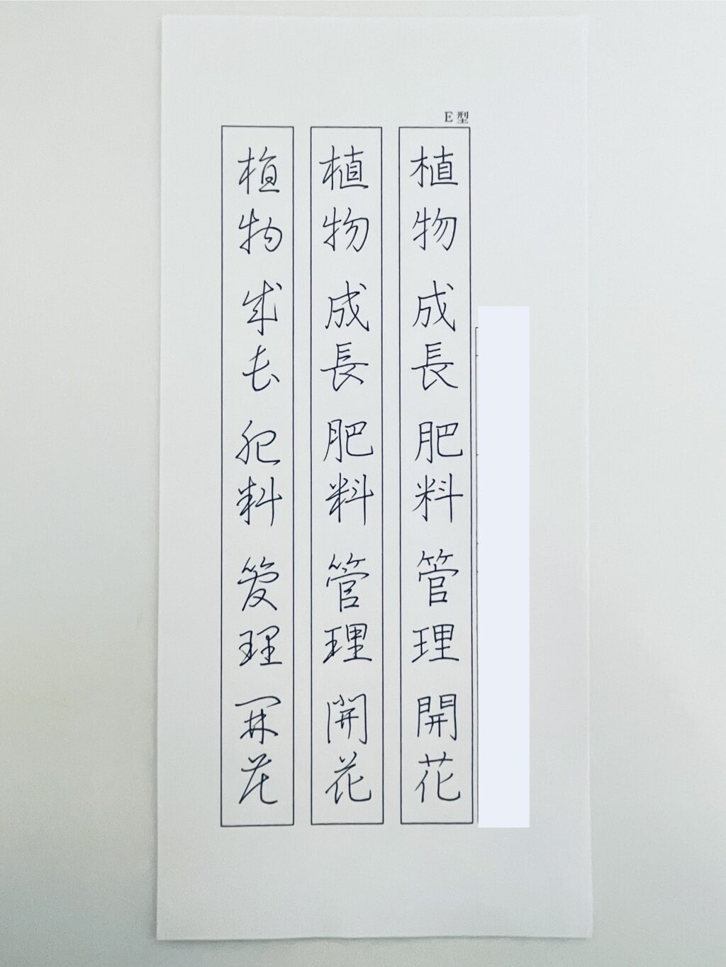 かきかた、パイロットペン習字、ペン字教室、日本書写技能検定協会、書写検定、桃花会、硬筆書写技能検定.書写検定、筆ペン教室、美文字レッスン、通信講座