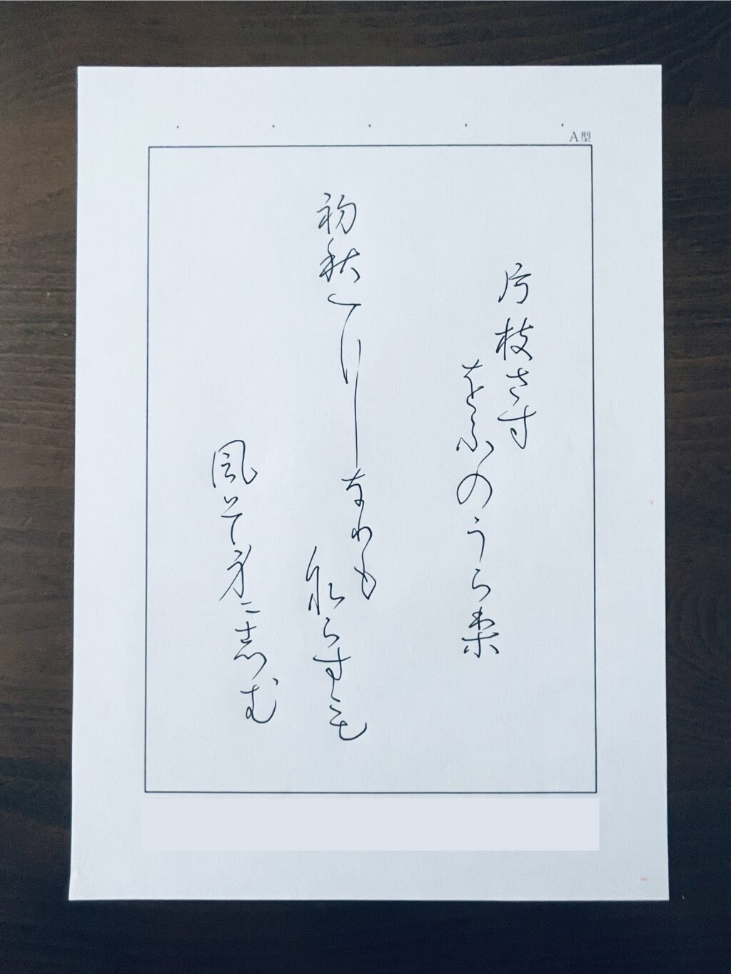 かきかた、パイロットペン習字、ペン字教室、日本書写技能検定協会、書写検定、桃花会、硬筆書写技能検定.書写検定、筆ペン教室、美文字レッスン、通信講座
